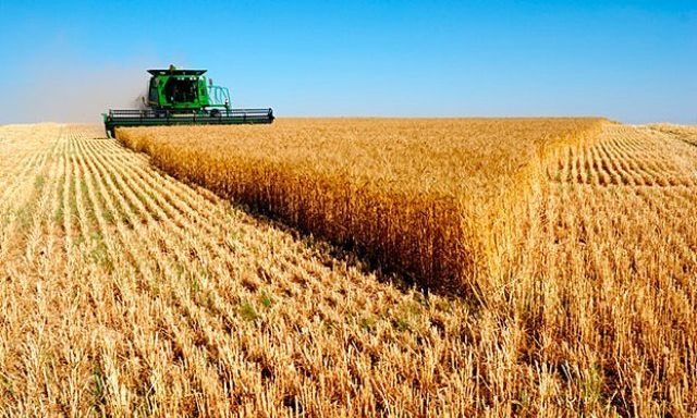 El 63,2% de la renta agrícola es para el Estado, según el estudio de FADA