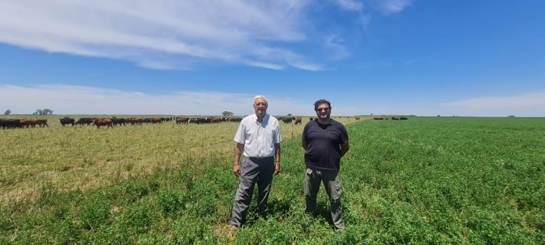 Don Marcellino: Cuatro mil hectáreas soñadas para agricultura. Pero la pasión y tradición de 70 años lo hacen ganadero y de exportación