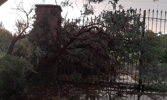 La zona rural de Mackenna y el límite departamental Río Cuarto-General Roca con severos daños por la tormenta del domingo