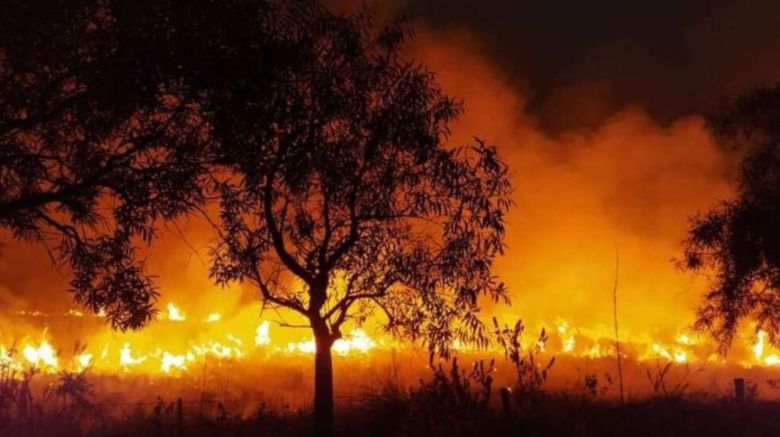 “Es un infierno”: Corrientes reclama una “ayuda extraordinaria” para detener el avance del fuego