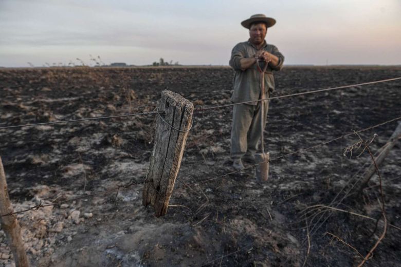 “Es un infierno”: Corrientes reclama una “ayuda extraordinaria” para detener el avance del fuego