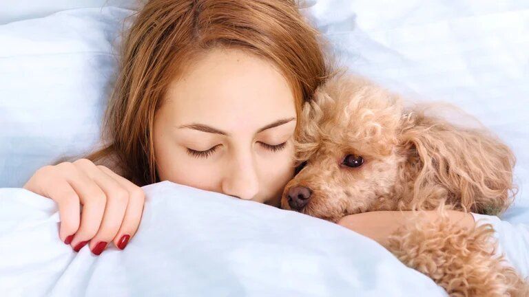 ¿Es posible saber con qué sueñan los perros?