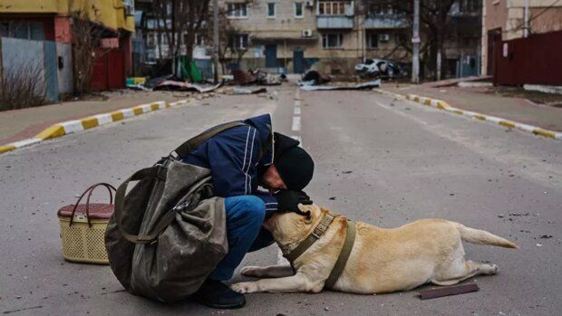 La dulzura en una foto: un hombre trata de consolar a su perro paralizado de miedo en una calle de Irpin