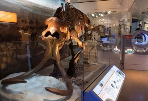 Un Parque Jurásico real que revive especies extinguidas