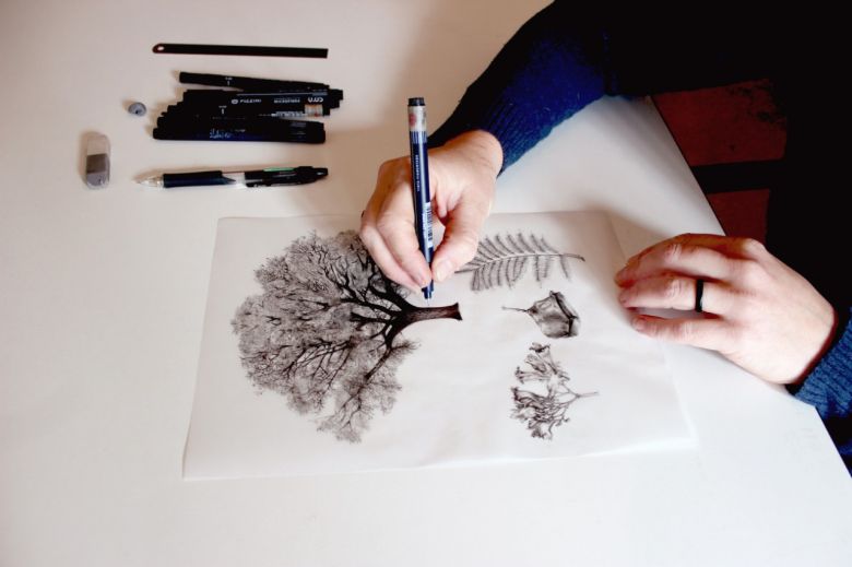 La Ilustradora bótanica cordobesa que registra el maravilloso mundo vegetal de la provincia
