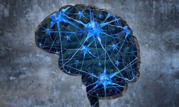 Las señales del Alzheimer aparecen mucho antes del diagnóstico, según expertos de Harvard