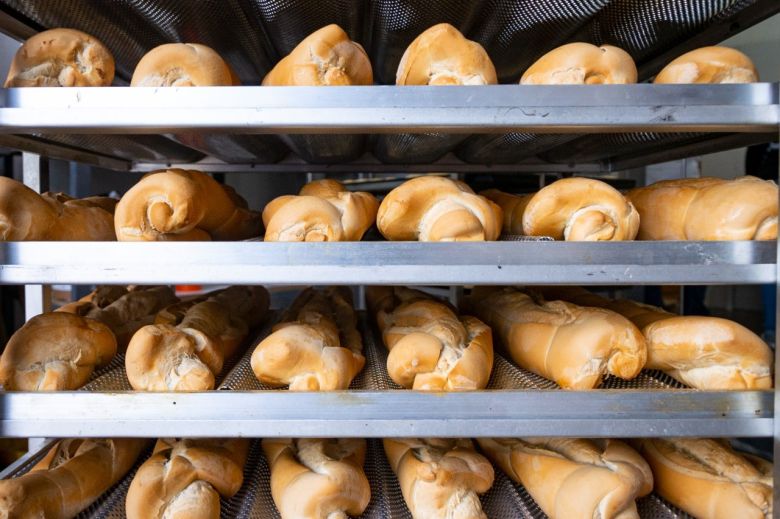 Una panadería creada por el PP abastece a los 32 Jardines Maternales Municipales