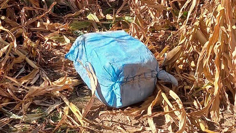 Misterio narco: encontraron 175 kilos de cocaína en un campo en el límite entre Santa Fe y Buenos Aires