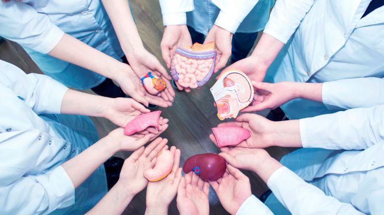 30 de mayo: día nacional de la donación de órganos 