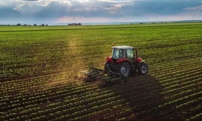 Turquía: alfalfa, riego y bioetanol a base de remolacha azucarera