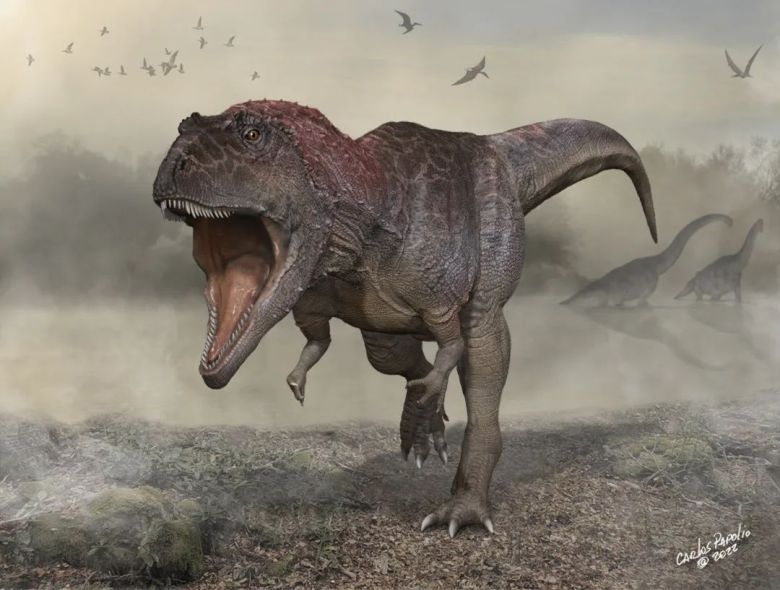 Meraxes, el nuevo dinosaurio descubierto en nuestro país