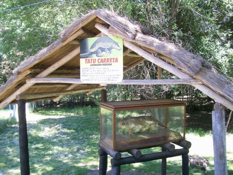 Tatú Carreta, el lugar donde derivaron al Yacaré encontrado en la laguna Baldissera 