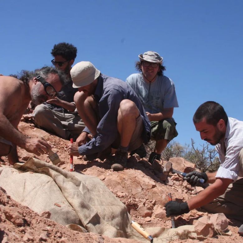Jakapil kaniukura: el primer dinosaurio acorazado bípedo de Sudamérica