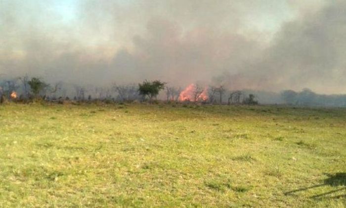 Bomberos de Moldes y Sampacho sofocan incendio en la estancia La Madera