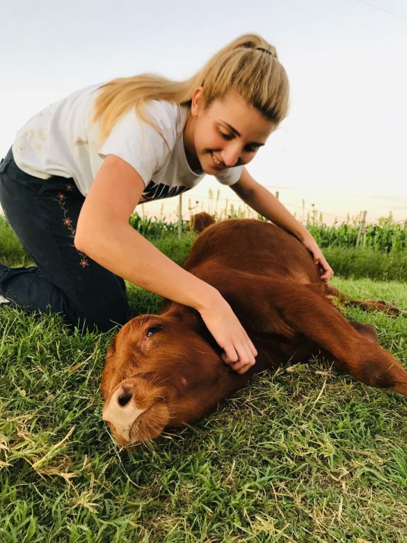 Valentina le salvó la vida a un ternerito y ahora es su mascota: "Es como un perro de 600 kilos"