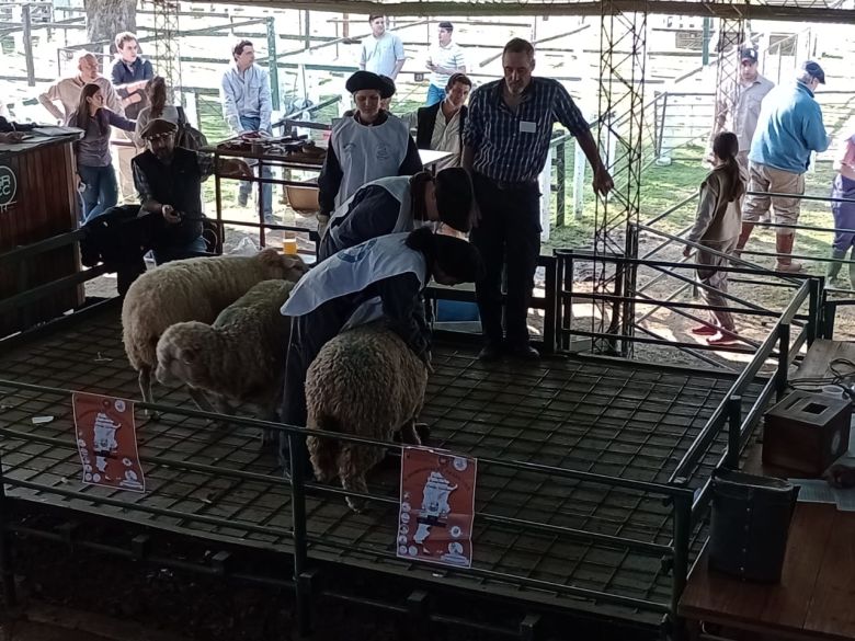 Colegio promueve producción ovina y uso de recursos de la zona