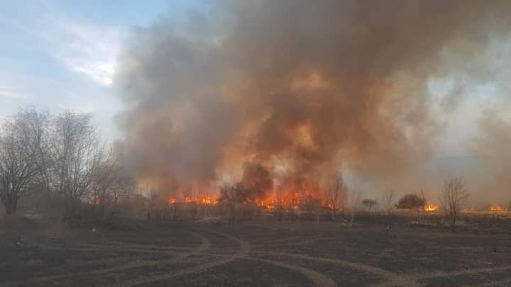 Los incendios en zona de Campo La Piedra y Rodeo Viejo están extinguidos