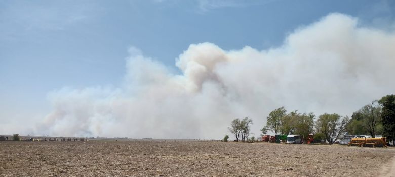 Los incendios en zona de Campo La Piedra y Rodeo Viejo están extinguidos
