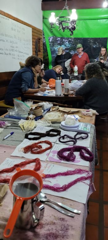 Sedami, el proyecto que promueve a Misiones como la capital de la seda en Argentina
