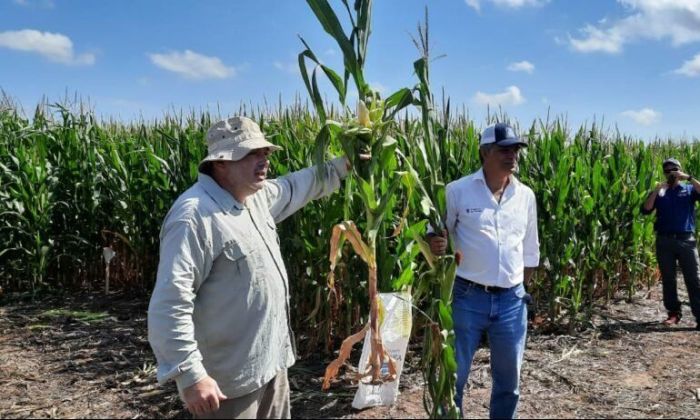 “Córdoba es una de las grandes productoras de maíz del mundo"