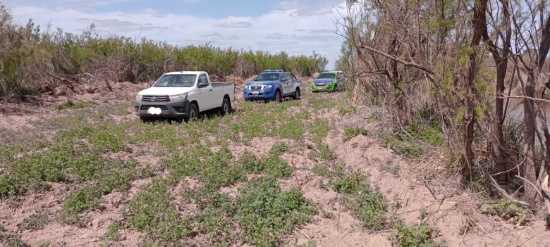 Frenan un desmonte de varias hectáreas en un campo en La Cautiva
