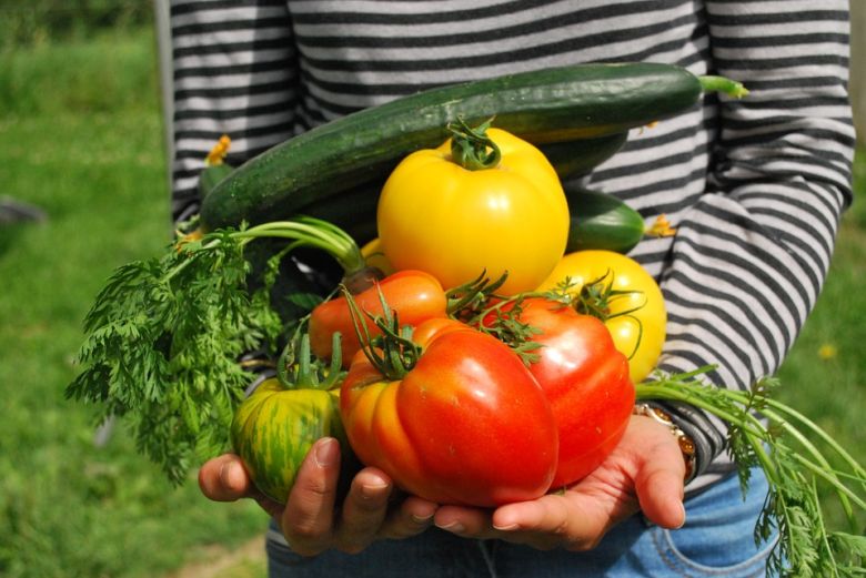 Se lanzó el "Verdurón": un concurso que premiará a la verdura orgánica de mayor peso