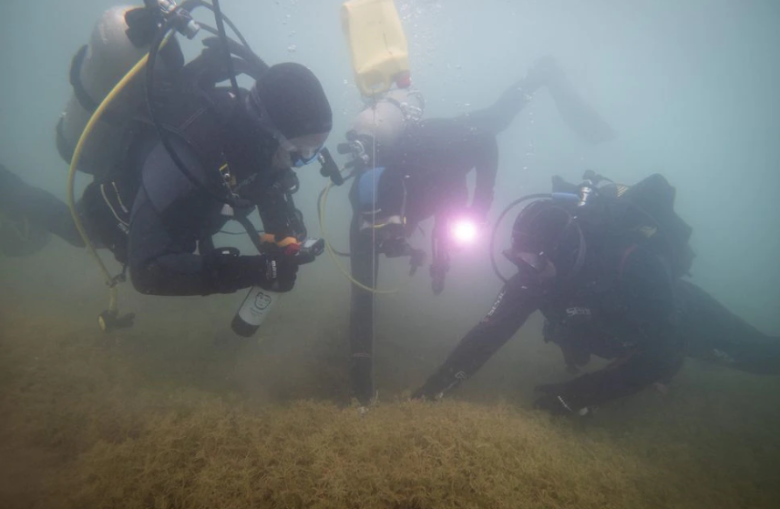 Cavas subacuáticas: los primeros resultados en Mendoza de una propuesta más que novedosa 