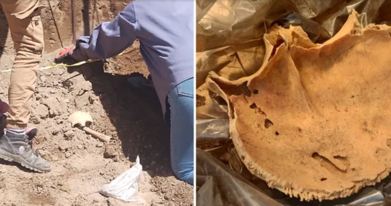Trabajadores encontraron huesos humanos en San Juan: tienen cientos de años de antigüedad