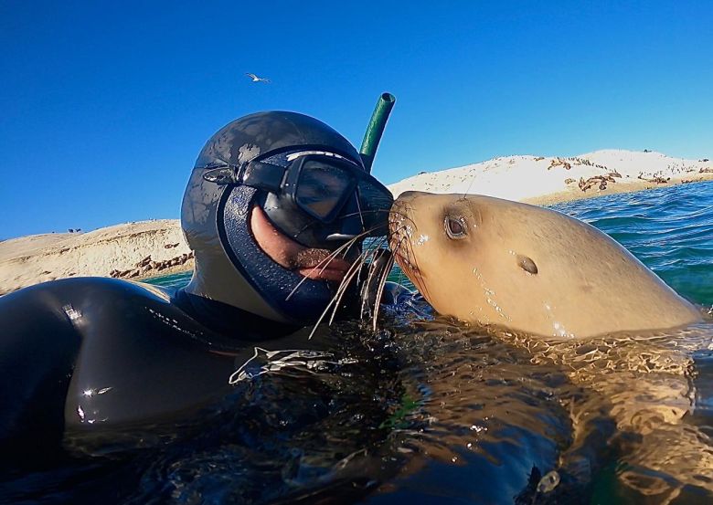 Dejó su cámara en una playa de Puerto Madryn y consiguió un tierno video de un cachorro de elefante marino