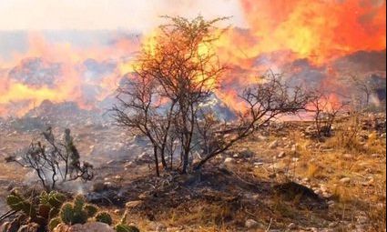 Incendios: bomberos combaten dos focos en Salsacate y La Cumbre
