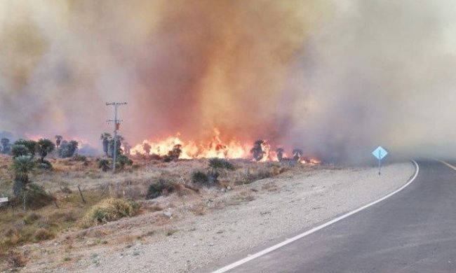 Bomberos combaten incendio en Salsacate y cortan ruta 28