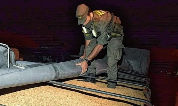 Secuestraron 47.780 kilos de soja entera a granel 