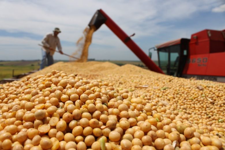 “Habrá una reducción de 20 % en la producción de soja y otros productos”