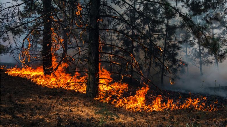 Un rayo provocó un incendio en un campo al oeste de Chucul