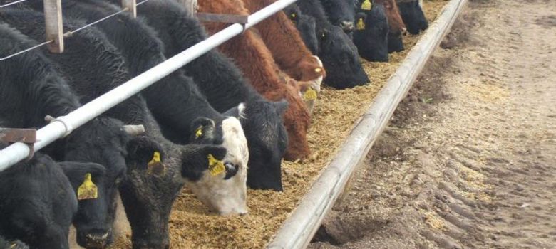  CAMyA: “ La recomposición de precios en la carne afectará al asalariado"