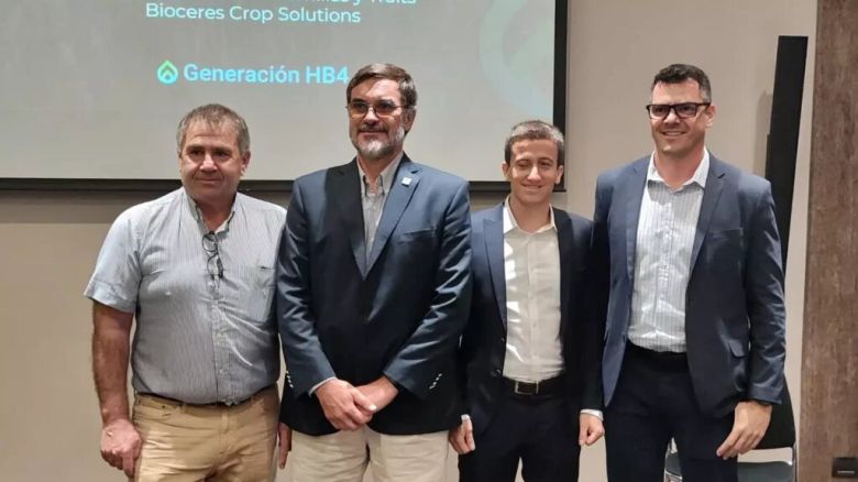 Buenas noticias para el trigo HB4: Brasil autorizó la siembra y uso de la tecnología Argentina