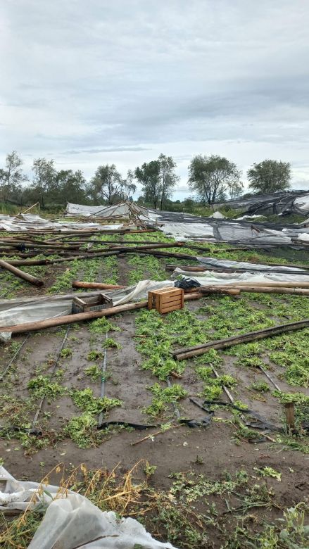 La tormenta afectó a productores del cinturón verde de la ciudad