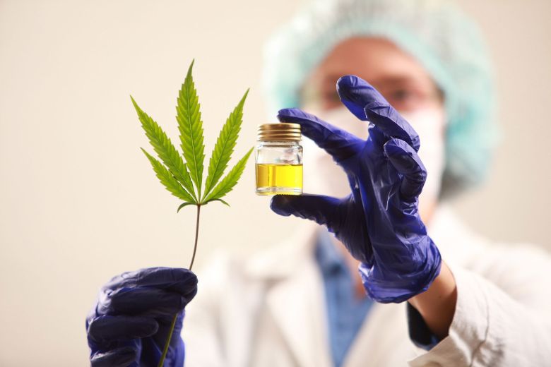 "La industria de cannabis medicinal en el país no se ha podido desarrollar"