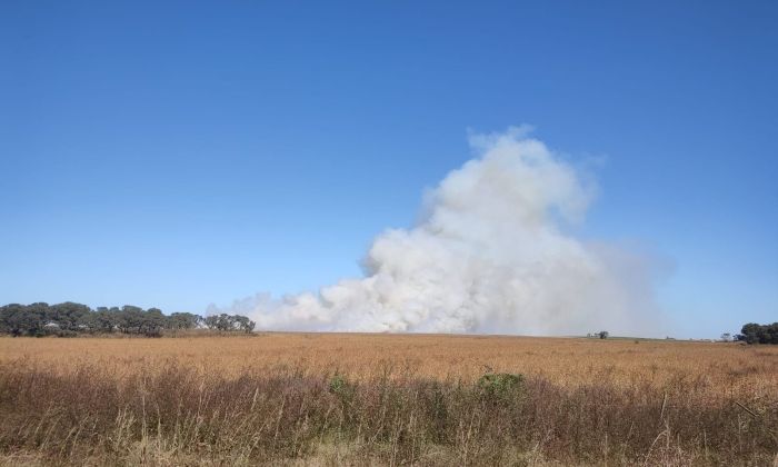 El fuego iniciado en una cosechadora se extendió al campo y a otra maquinaria