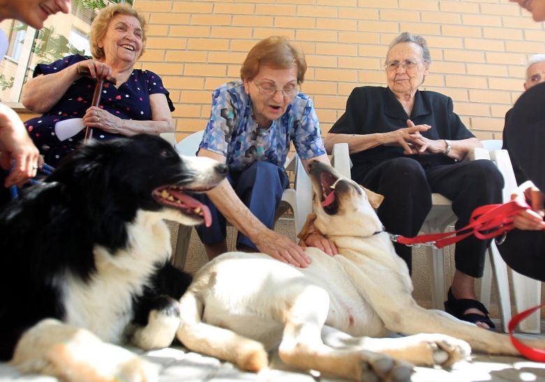 Celebran que se permita el ingreso de mascotas a los geriátricos
