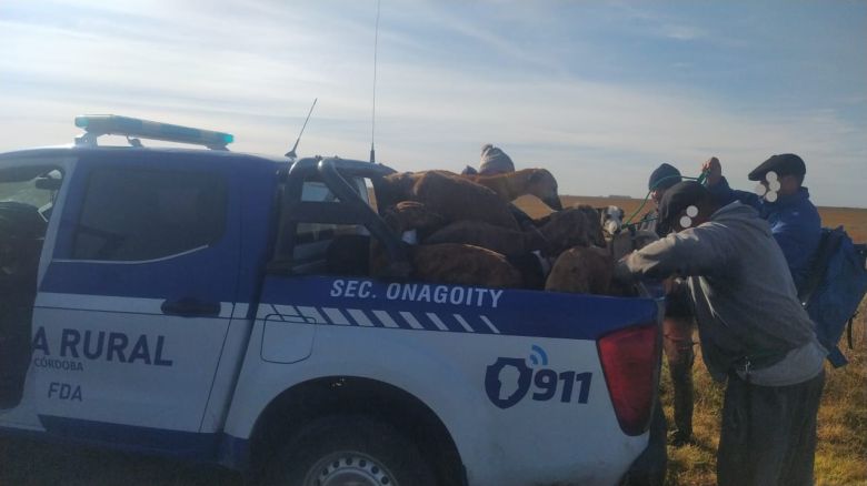 Patrullaje rural constató dos hechos ilegales de práctica de caza con jauría 