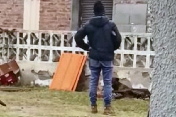 Un vecino mató a un galgo y quedó filmado en Villa Nueva
