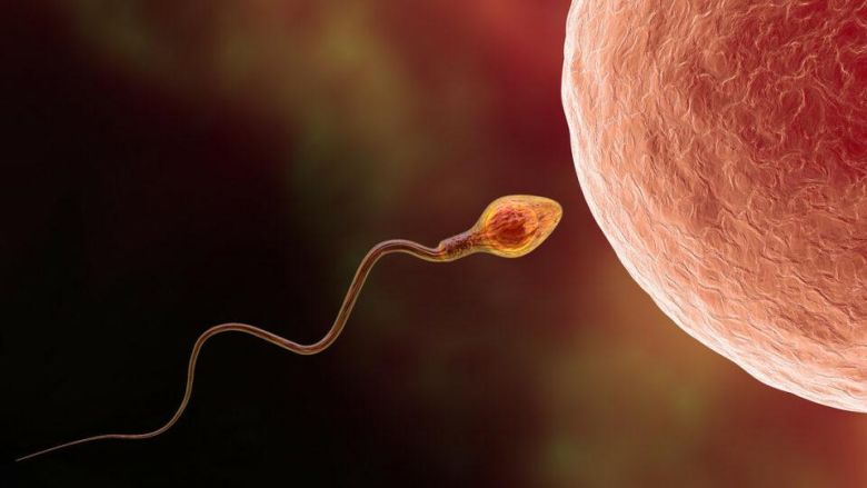 Científicos del Conicet destacan las ventajas del nuevo método de fertilidad 