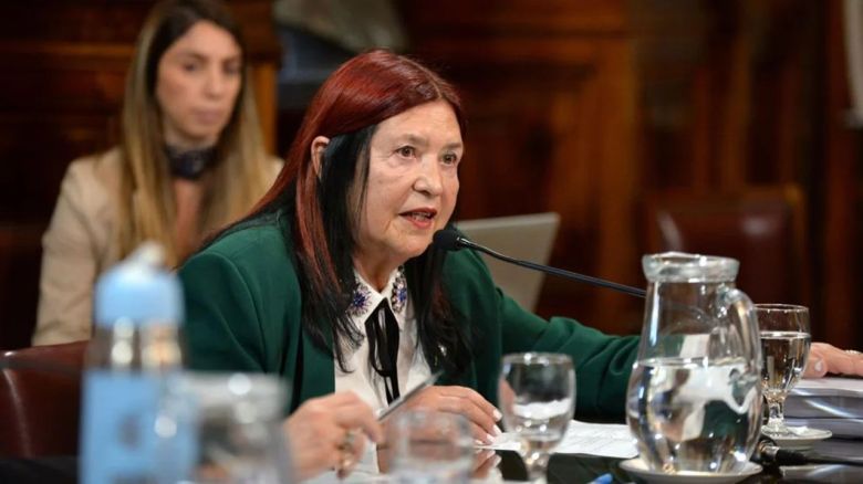 La Corte Suprema dejó sin funciones a la jueza Ana María Figueroa