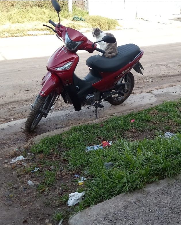 Una enfermera del Asilo San José sufrió un violento asalto cuando le robaron la moto al salir de su casa 