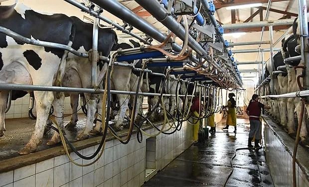 Tras suspensión de las retenciones, los lácteos no podrán aumentar más del 5% mensual