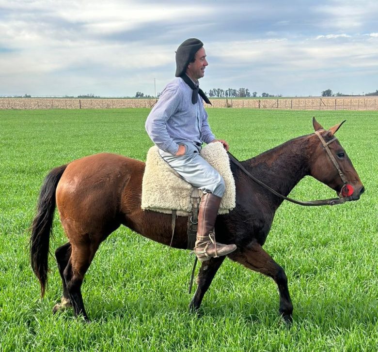 La historia del domador de caballos que no usa rebenques y trata con cariño a los animales