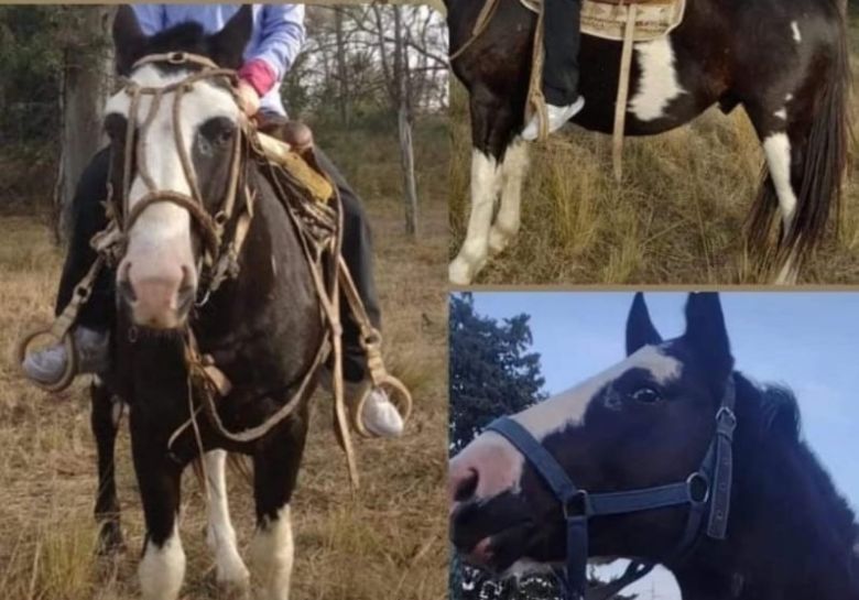 Otra vez robaron un caballo en la zona rural de La Gilda