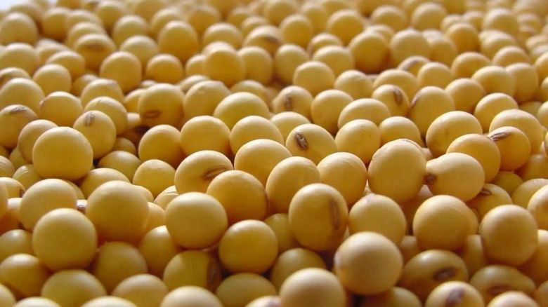 “El aumento de las retenciones a los derivados de la soja se traslada al productor”