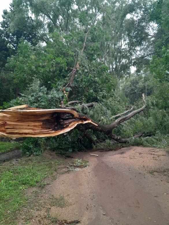 El Chacay sufrió una fuerte tormenta el último fin de semana